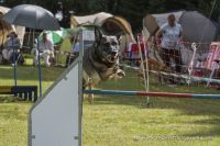 AHC_ND41776_07Aug2016