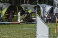 AHC_ND43034_07Aug2016